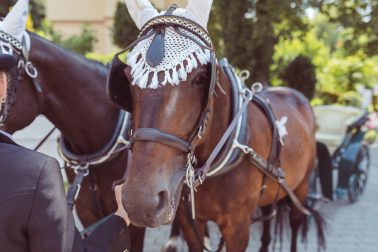 Hochzeit im Schloss Ettlingen und Feier im Watz