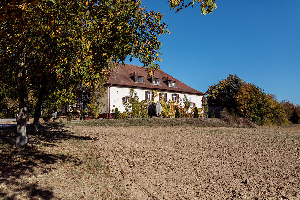 Hochzeitsfotograf heiraten Klosterkelter Maulbronn