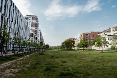 Familienreportage Düsseldorf Fotograf